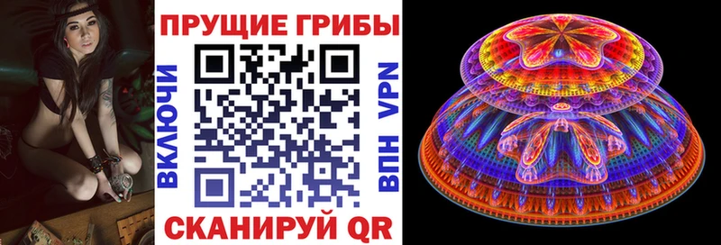 Галлюциногенные грибы MAGIC MUSHROOMS  Большой Камень 